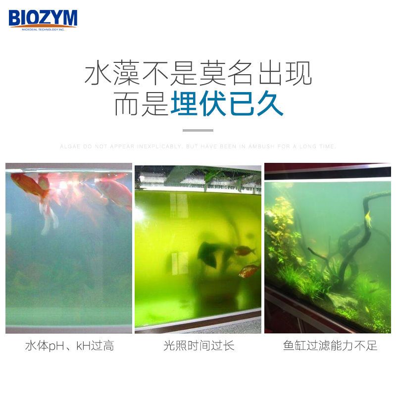 魚缸除藻劑的使用方法：如何自制魚缸除藻劑，魚缸除藻劑對(duì)魚的影響 魚缸百科 第2張