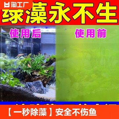 魚缸除藻劑的使用方法：如何自制魚缸除藻劑，魚缸除藻劑對(duì)魚的影響 魚缸百科 第3張