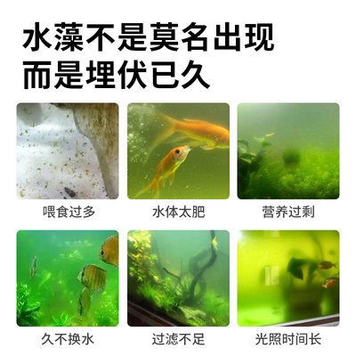 魚缸除藻劑的使用方法：如何自制魚缸除藻劑，魚缸除藻劑對(duì)魚的影響 魚缸百科 第4張