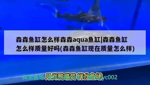 森森水族魚缸怎么樣：森森水族魚缸與其他品牌的對(duì)比 魚缸百科 第4張