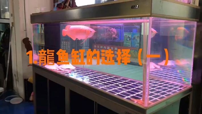 龍魚缸選擇：如何根據不同需求和條件選擇適合的龍魚缸 魚缸百科 第4張