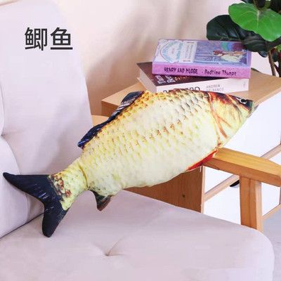 紅龍魚(yú)進(jìn)口貨源：如何找到紅龍魚(yú)的進(jìn)口貨源 紅龍魚(yú)百科 第3張