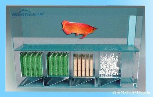 魚缸濾材使用方法視頻：魚缸濾材使用方法 魚缸百科 第1張