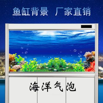 魚缸背景貼紙什么牌子好：金利佳魚缸背景貼紙價(jià)格對(duì)比逸樂寵背景貼紙價(jià)格對(duì)比 魚缸百科 第4張