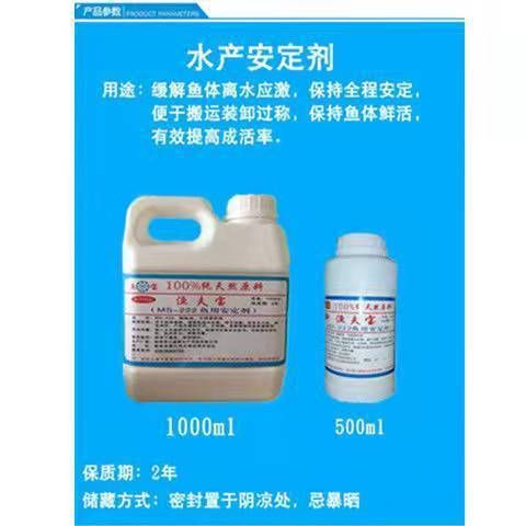 金龍魚能漲到多少錢：金龍魚價格波動受多種因素影響2024年可能上漲到10元/ 水族問答