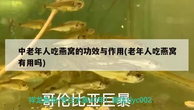 松寶魚缸圖片大全：松寶魚缸圖片大全詳情 魚缸百科 第3張