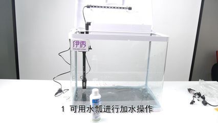 魚缸使用說明視頻大全：詳細的魚缸使用說明視頻大全 魚缸百科 第5張