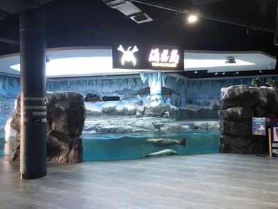 寧波魚缸廠：寧波魚缸廠口碑排行 魚缸百科 第2張