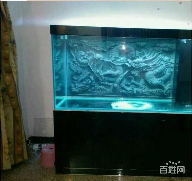 寧波魚缸廠：寧波魚缸廠口碑排行 魚缸百科 第5張