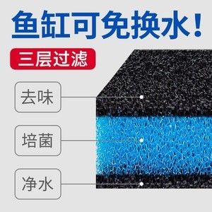 魚(yú)缸里活性炭怎么使用：活性炭在魚(yú)缸中的作用及其使用方法 魚(yú)缸百科 第3張