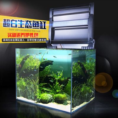 金龍魚牌：金龍魚牌烹飪油真的適合炒菜嗎？ 水族問答 第1張