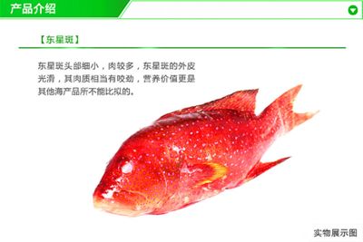 紅龍魚品牌推薦知乎文章怎么寫的：紅龍魚品牌市場(chǎng)評(píng)價(jià)對(duì)比紅龍魚品牌歷史與發(fā)展