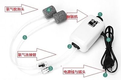 魚缸電源線整理：關(guān)于魚缸電源線整理的具體方法和步驟 魚缸百科 第5張