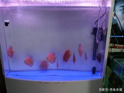 魚缸過濾棉怎么清洗視頻：如何清洗魚缸過濾棉，魚缸水質(zhì)清潔小妙招 魚缸百科 第4張