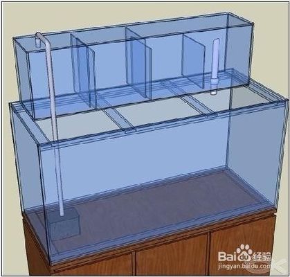 畫法幾何魚缸過濾器改造：自制魚缸過濾器改造注意事項(xiàng)魚缸過濾器改造注意事項(xiàng) 魚缸百科 第3張