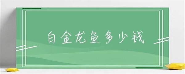 龍魚眼上有一道白是什么：龍魚眼睛上出現(xiàn)白線可能由多種原因引起，如何判斷龍魚健康狀況