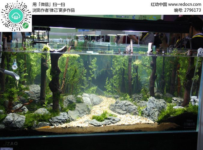 高端魚缸造景效果圖片：高端魚缸造景效果圖片詳情 魚缸百科 第1張