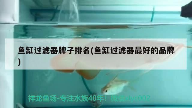 魚缸過濾器品牌排行榜前十名：2024年魚缸過濾器品牌排行榜 魚缸百科 第5張