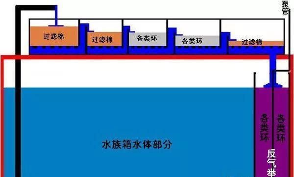 魚缸過濾材料怎么放視頻：如何正確放置魚缸過濾器的過濾器的過濾材料在視頻中