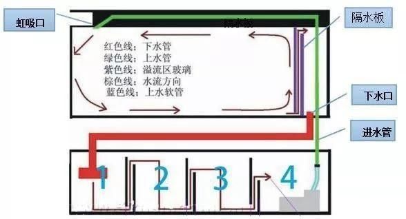 魚缸過濾材料怎么放視頻：如何正確放置魚缸過濾器的過濾器的過濾材料在視頻中 魚缸百科 第4張