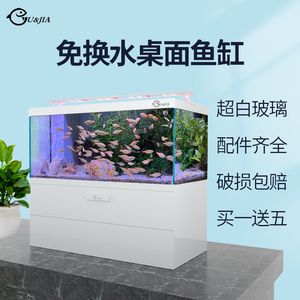 為什么魚缸的魚都往一邊聚集：為什么魚缸里的魚往一邊聚集？ 魚缸百科 第3張