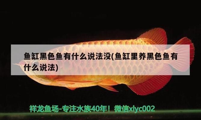 胭脂孔雀龍魚(yú)專用飼料配方：胭脂孔雀龍魚(yú)專用飼料營(yíng)養(yǎng)成分詳解胭脂孔雀龍魚(yú)專用飼料配方 龍魚(yú)百科 第2張