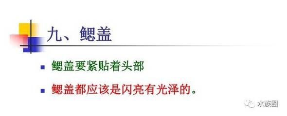 龍魚檢疫是怎么回事：龍魚檢疫不合格會(huì)怎樣處理龍魚檢疫的常見(jiàn)誤區(qū)有哪些 龍魚百科 第2張