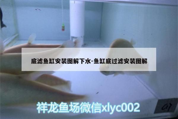 底濾魚缸拆裝：“底濾魚缸拆裝詳情”，底濾魚缸濾材更換指南