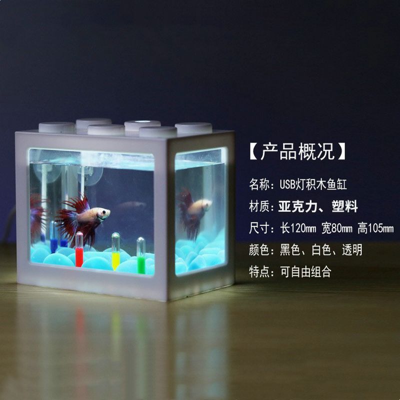 小魚缸品牌：2024年小型魚缸十大品牌排行榜小魚缸品牌性價比排行 魚缸百科 第1張