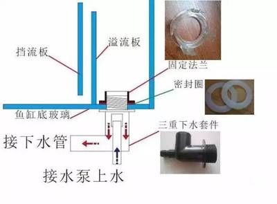 魚缸過濾器密封圈更換指南：如何更換魚缸過濾器密封圈 魚缸百科 第2張