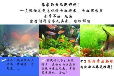 國內(nèi)品牌魚缸排名前十：2024年國產(chǎn)品牌魚缸排名前十 魚缸百科 第3張