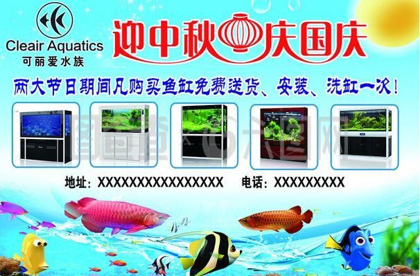 可麗愛魚缸安裝視頻教程詳細說明：可麗愛魚缸安裝視頻教程詳細說明了如何正確設置和維護魚缸 魚缸百科 第5張