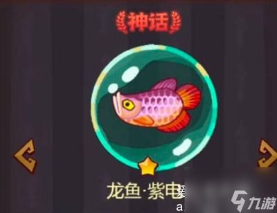 龍魚之王：“龍魚之王”角色設(shè)定解析龍魚之王角色設(shè)定解析 龍魚百科 第5張