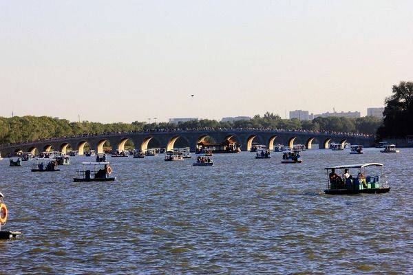 混養(yǎng)青龍魚金龍魚的魚缸尺寸：混養(yǎng)青龍魚和金龍魚的魚缸尺寸至少是150,60,60cm 魚缸百科 第1張