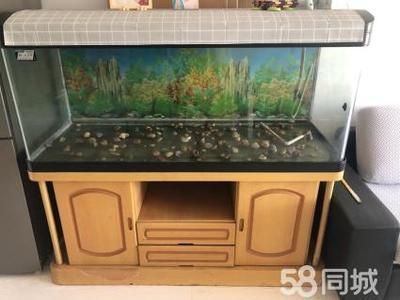 品牌魚(yú)缸排行榜前十名：2024年魚(yú)缸十大品牌排行榜 魚(yú)缸百科 第5張