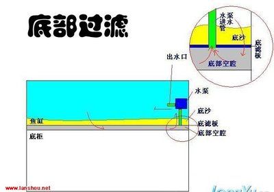 魚缸出水方式哪種好：選擇魚缸出水方式時(shí)需根據(jù)過濾類型和布置情況綜合考慮 魚缸百科 第1張