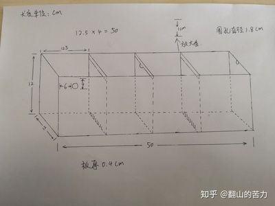 魚缸出水方式哪種好：選擇魚缸出水方式時(shí)需根據(jù)過濾類型和布置情況綜合考慮 魚缸百科 第3張