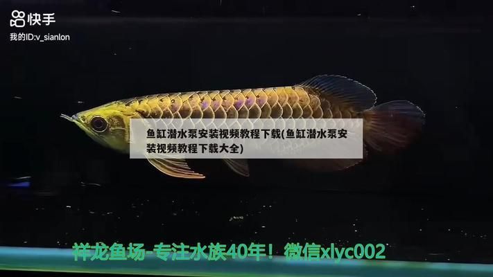 大型魚(yú)缸水泵安裝視頻：大型魚(yú)缸水泵安裝步驟 魚(yú)缸百科 第1張