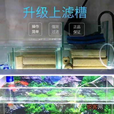 魚缸使用方法視頻：魚缸使用方法教程 魚缸百科 第3張