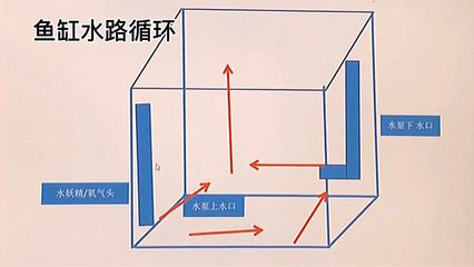 魚缸水泵的原理：魚缸水泵的基本結(jié)構(gòu)和工作原理 魚缸百科 第5張