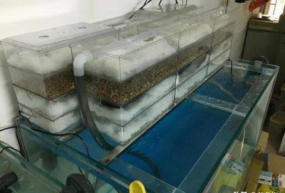 提高魚缸溶解氧的方法：如何在魚缸中提高溶解氧 魚缸百科 第5張