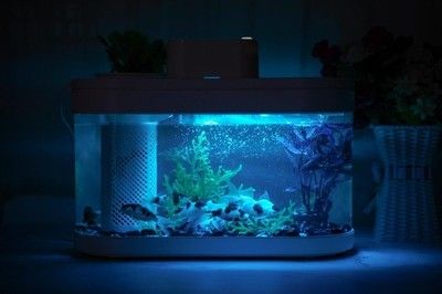 魚缸LED燈光照品牌推薦：魚缸led燈性能對比水族燈全光譜效果評測 魚缸百科 第6張