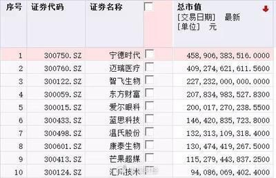 異型魚魚缸造景效果圖：異型魚魚缸造景效果圖詳情 魚缸百科 第4張