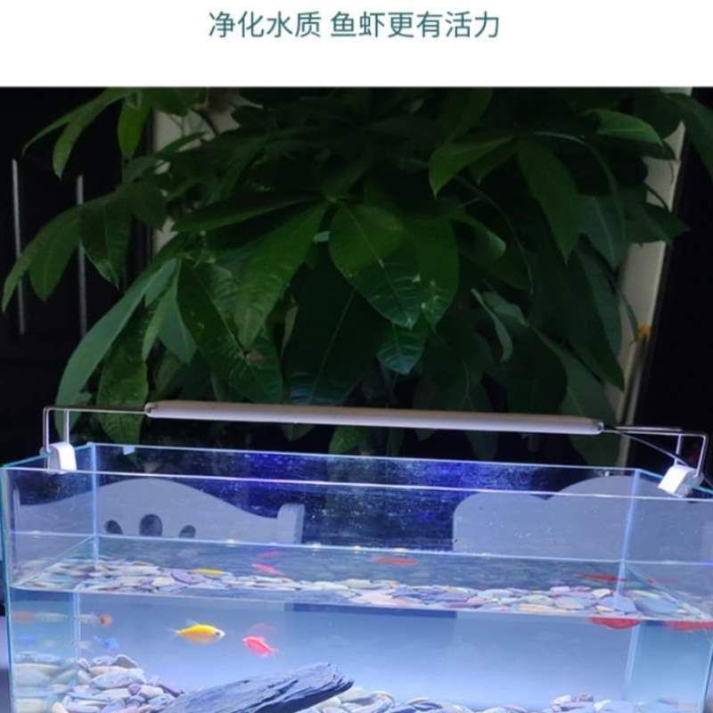 關(guān)于魚缸的背景音樂：如何自制魚缸背景音樂 魚缸百科 第3張