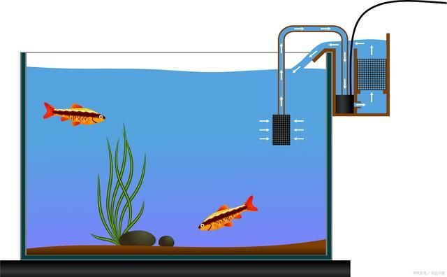 魚缸水泵工作原理動畫：魚缸水泵工作原理動畫詳情 魚缸百科 第3張