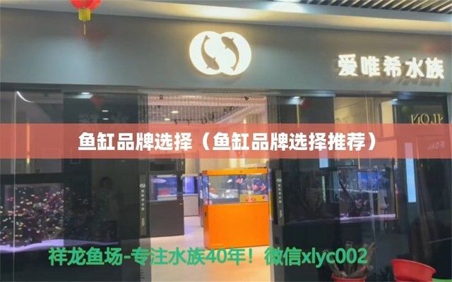 金龍魚食品飲料：選擇金龍魚食品飲料有什么特別的考慮嗎？ 水族問答 第5張