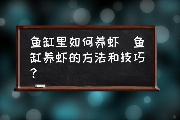 蝦躲在魚缸角落：如何判斷蝦是否適應(yīng)新環(huán)境