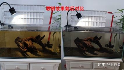 魚缸品牌知乎推薦：閩江水族魚缸品牌介紹