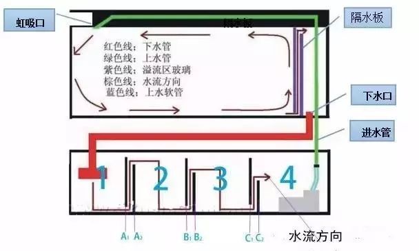 魚缸安裝教程管子：魚缸安裝教程管子的詳細(xì)步驟魚缸氧氣泵選型指南 魚缸百科 第1張