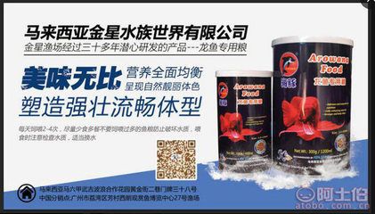 紅龍魚怎么買比較好看：如何挑選紅龍魚？ 紅龍魚百科 第4張